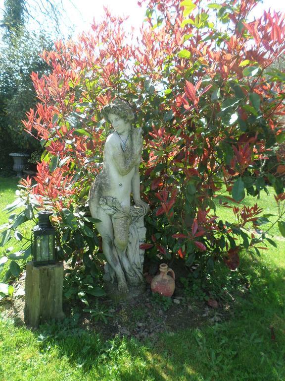 La Chevallerie B&B Isigny-le-Buat Exterior foto